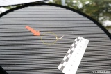  Bmw  Serie 5 Baureihe 5 Touring 530 e 2.0 215KW AT8 E6d #50