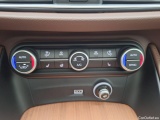  Alfa Romeo   STELVIO Alfa Romeo, '17, Alfa Romeo 2.2 D 160 TI 5d #20