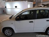  Fiat  Panda FIAT  / 2011 / 5P / BERLINA 1.2 69CV E6 EASY #33