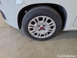  Fiat  Panda FIAT  / 2011 / 5P / BERLINA 1.2 69CV E6 EASY #20