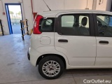  Fiat  Panda FIAT  / 2011 / 5P / BERLINA 1.2 69CV E6 EASY #22