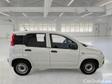  Fiat  Panda FIAT  / 2012 / 5P / BERLINA 1.0 70CV HYBRID EURO 6D VAN 2 P. POP #7