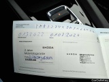  Skoda  Octavia Combi 2.0 TDI DSG First Edition Automatic Diesel  45 #39
