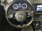  Skoda  Karoq 2.0 TDI SCR DSG Clever Automatic Diesel  62 #19