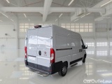  Fiat  Ducato FIAT  2016 4P FURGONE FLOTTINO POSTE 33 MH2 2.3 MULTIJER 16V 130CV 6M #2