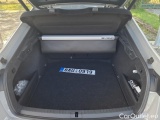  Skoda  Octavia  Lim. (NX3)(2020)  2.0 TSI 180 RS AT 5d #12