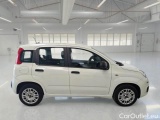  Fiat  Panda FIAT  / 2011 / 5P / BERLINA 1.2 69CV SeS E6D-TEMP EASY #7