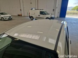  Fiat  Panda FIAT  / 2011 / 5P / BERLINA 1.2 69CV SeS E6D-TEMP EASY #9