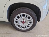  Fiat  Panda FIAT  / 2011 / 5P / BERLINA 1.2 69CV SeS E6D-TEMP EASY #19