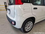  Fiat  Panda FIAT  / 2011 / 5P / BERLINA 1.2 69CV SeS E6D-TEMP EASY #30