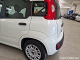  Fiat  Panda FIAT  / 2011 / 5P / BERLINA 1.2 69CV SeS E6D-TEMP EASY #35