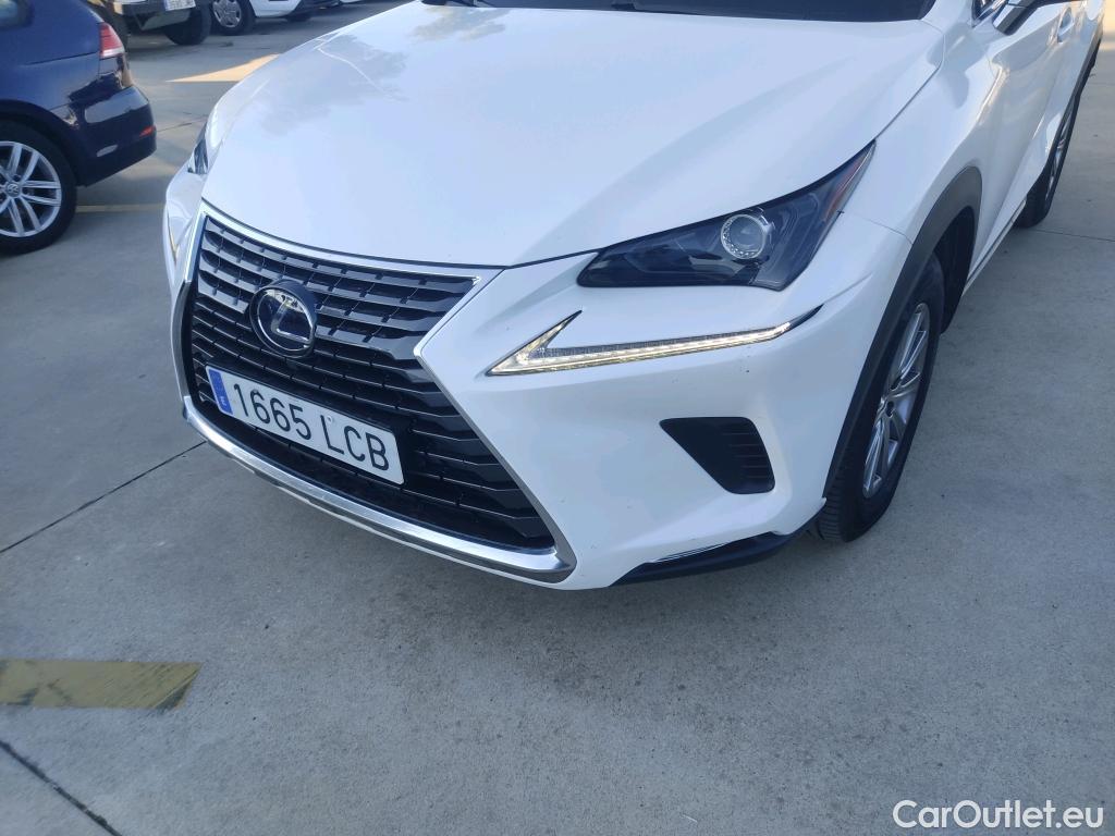  Lexus  NX LEXUS  / 2017 / 5P / todoterreno 2.5 300h Business Navigation 2WD (CX) #12