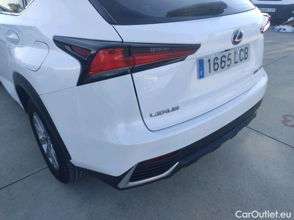  Lexus  NX LEXUS  / 2017 / 5P / todoterreno 2.5 300h Business Navigation 2WD (CX) #7