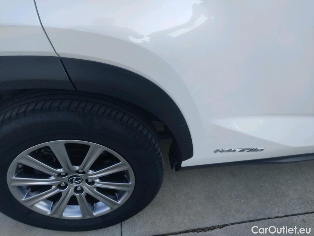  Lexus  NX LEXUS  / 2017 / 5P / todoterreno 2.5 300h Business Navigation 2WD (CX) #27