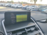  Lexus  NX LEXUS  / 2017 / 5P / todoterreno 2.5 300h Business Navigation 2WD (CX) #12