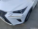  Lexus  NX LEXUS  / 2017 / 5P / todoterreno 2.5 300h Business Navigation 2WD (CX) #16