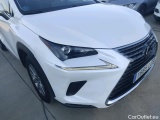  Lexus  NX LEXUS  / 2017 / 5P / todoterreno 2.5 300h Business Navigation 2WD (CX) #17