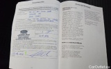  Ford  Kuga  Titanium 2.0 EcoBlue 140KW AT8 E6d #18