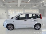  Fiat  Panda FIAT  / 2011 / 5P / BERLINA 1.2 69CV E6D-TEMP EASY #8
