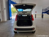  Fiat  Panda FIAT  / 2011 / 5P / BERLINA 1.2 69CV E6D-TEMP EASY #5