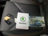 Skoda  ENYAQ iV 80x 4x4 - Automatic Electric  122 #30