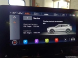  Cupra  Formentor 2.0 TDI 4Drive DSG Automatic Diesel  137 #15