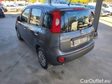  Fiat  Panda 1.0 FireFly 70cv S&S Hybrid #3