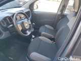  Fiat  Panda 1.0 FireFly 70cv S&S Hybrid #5