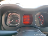  Fiat  Panda 1.0 FireFly 70cv S&S Hybrid #13