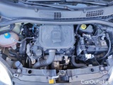  Fiat  Panda 1.0 FireFly 70cv S&S Hybrid #15