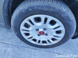 Fiat  Panda 1.0 FireFly 70cv S&S Hybrid #31