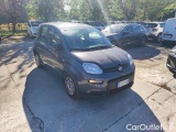  Fiat  Panda 1.0 FireFly 70cv S&S Hybrid #2
