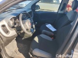  Fiat  Panda 1.0 FireFly 70cv S&S Hybrid #5