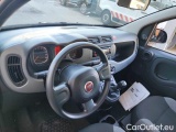  Fiat  Panda 1.0 FireFly 70cv S&S Hybrid #6