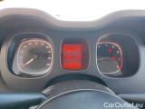  Fiat  Panda 1.0 FireFly 70cv S&S Hybrid #12