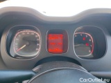  Fiat  Panda 1.0 FireFly 70cv S&S Hybrid #13