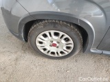  Fiat  Panda 1.0 FireFly 70cv S&S Hybrid #14