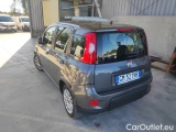  Fiat  Panda 1.0 FireFly 70cv S&S Hybrid #3
