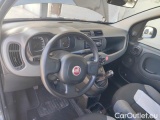  Fiat  Panda 1.0 FireFly 70cv S&S Hybrid #6