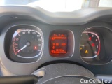  Fiat  Panda 1.0 FireFly 70cv S&S Hybrid #13