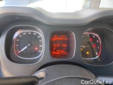  Fiat  Panda 1.0 FireFly 70cv S&S Hybrid #12