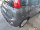  Fiat  Panda 1.0 FireFly 70cv S&S Hybrid #26