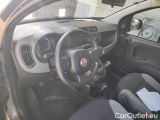  Fiat  Panda 1.0 FireFly 70cv S&S Hybrid #6