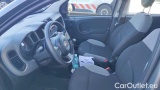  Fiat  Panda 1.0 FireFly 70cv S&S Hybrid #5