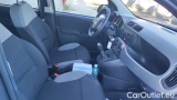  Fiat  Panda 1.0 FireFly 70cv S&S Hybrid #6