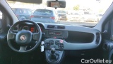  Fiat  Panda 1.0 FireFly 70cv S&S Hybrid #7