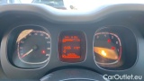  Fiat  Panda 1.0 FireFly 70cv S&S Hybrid #12