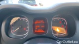  Fiat  Panda 1.0 FireFly 70cv S&S Hybrid #13
