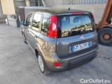  Fiat  Panda 1.0 FireFly 70cv S&S Hybrid #3