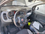  Fiat  Panda 1.0 FireFly 70cv S&S Hybrid #6